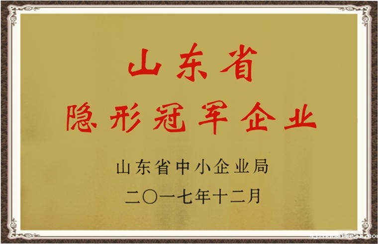 山东省隐形冠军企业